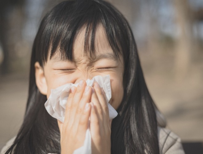 停止 流 鼻水 的 方法