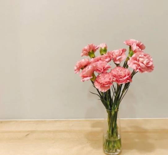 鮮花保存方法