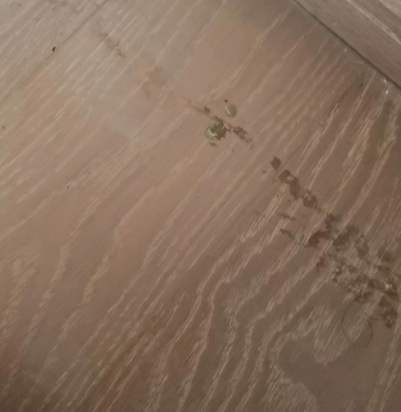 地板除膠方法 地板除膠方法