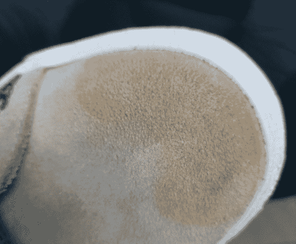 麂皮如何清洗